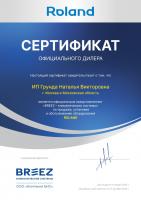 Roland RDI-WZ12HSS/N1